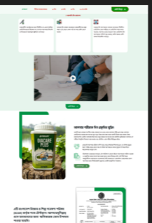 Ecommerce Development